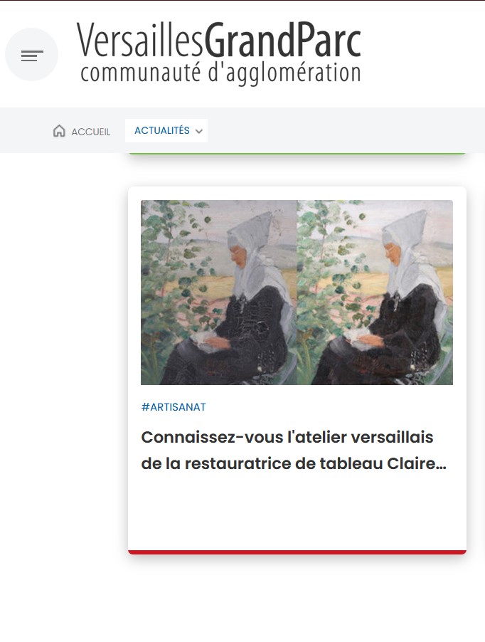 Capture d'écran de la vignette actualité du site Versailles Grand Parc.